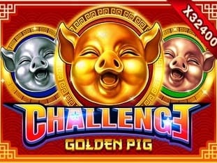 Challenge Golden Pig game icon